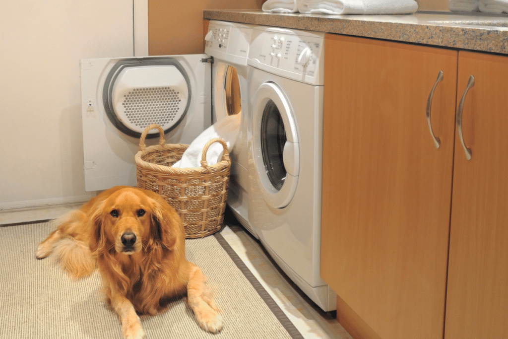 Why my Dryer Takes Too Long to Dry