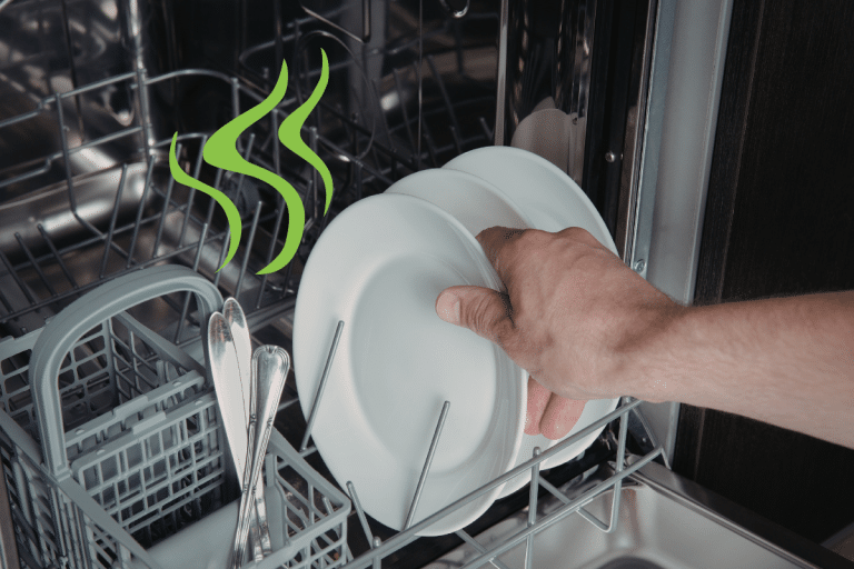 dishwasher odor