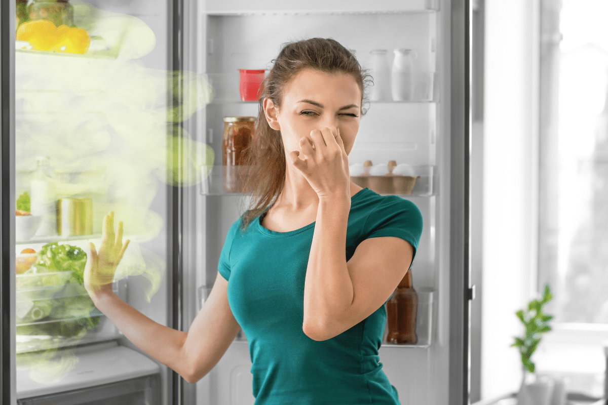 Refrigerator Stinks