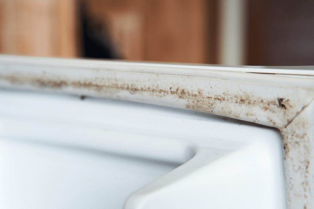ice maker has dirty ice