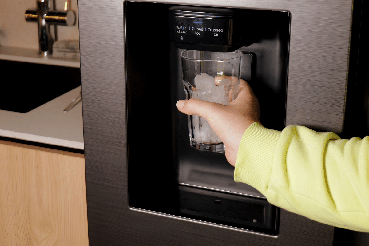 ice maker has smelly ice