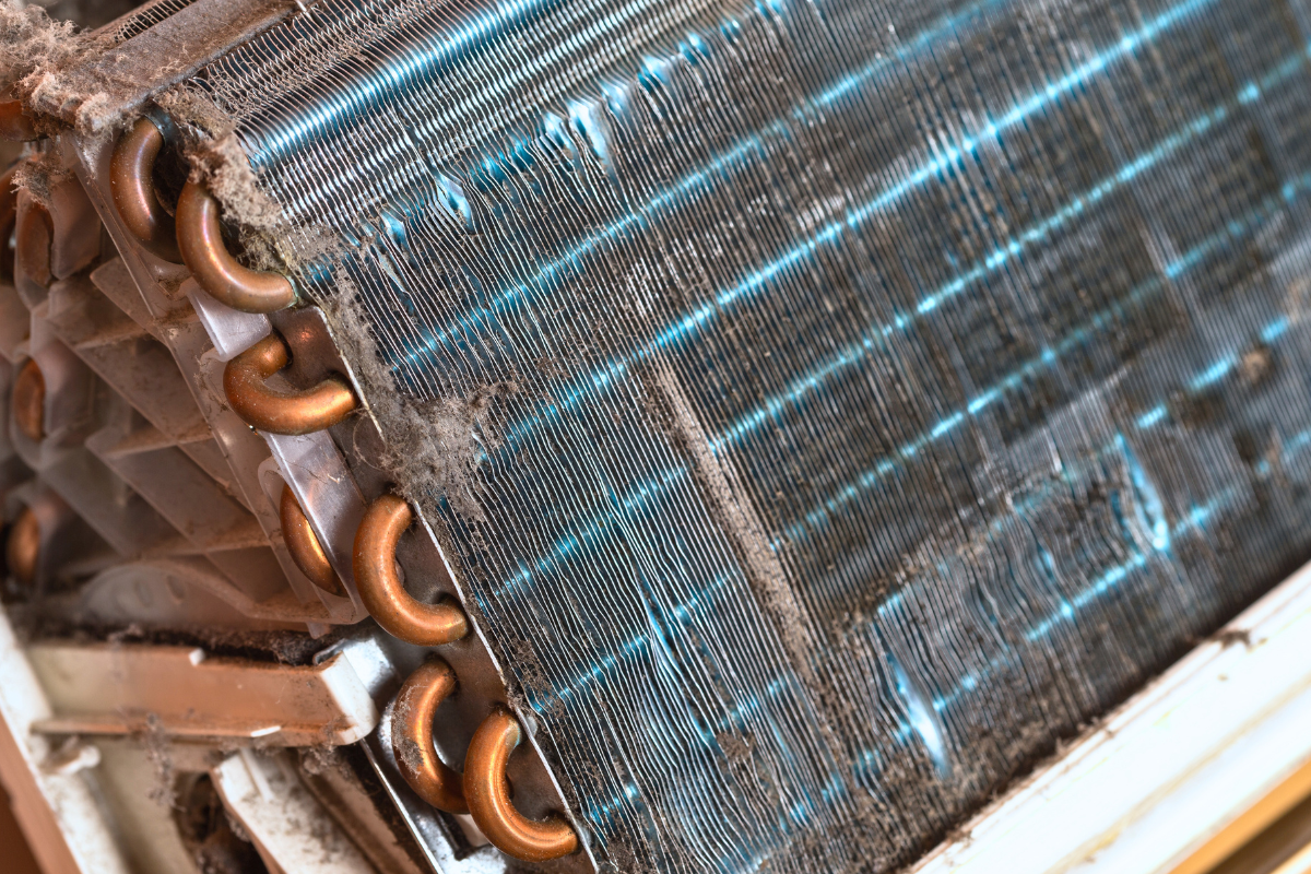 dirty refrigerator condenser coils covered in dust